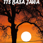 TTS BASA JAWA