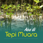 ASA DI TEPI MUARA