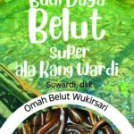 Budi Daya Belut Super ala Kang Wardi