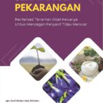 Sehat dari Pekarangan: Revitalisasi Tanaman Obat Keluarga Untuk Mencegah Penyakit Tidak Menular