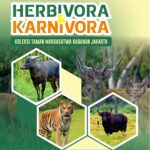 Biologi Satwa Mamalia Herbivora dan Karnivora Koleksi Taman Margasatwa Ragunan Jakarta