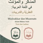 المذكر والمؤنث في اللغة العربية : النظرية والتدريبات